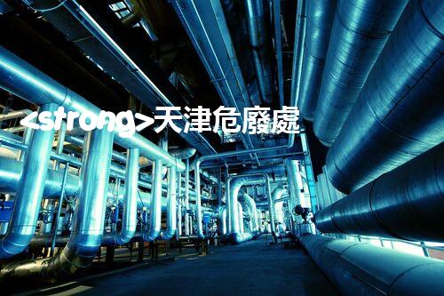 <strong>天津危廢處理公司排名前十名名單如何安全處理危險廢棄物？</strong>